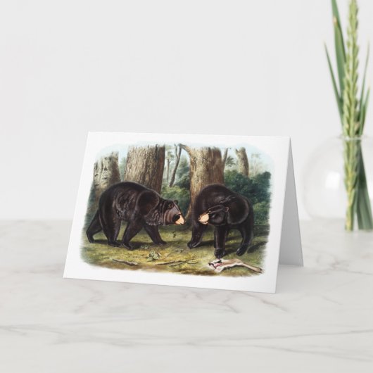 J.W. Audubon - Ursus Americanus Black Bear カード (正面)