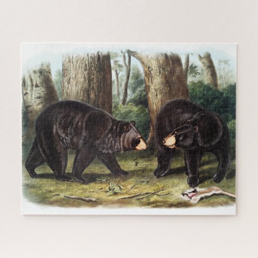 J.W. Audubon - Ursus Americanus (Black Bear) ジグソーパズル (横)