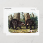 J.W. Audubon - Ursus Americanus (Black Bear) ポストカード (正面/裏面)