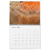 J.W. Fathreeによるサンゴのクローズアップのウォールカレンダー。 カレンダー (1月 2026)