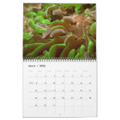 J.W. Fathreeによるサンゴのクローズアップのウォールカレンダー。 カレンダー (3月 2026)