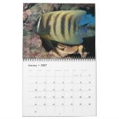J.W.Marine Angelfishs Wall Calendar父親 カレンダー (1月 2027)