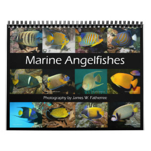 J.W.Marine Angelfishs Wall Calendar父親 カレンダー