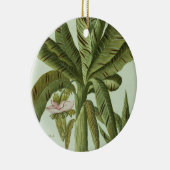 J. Weinmann's Phytanthoza Iconographiからのバナナ、 セラミックオーナメント (右)