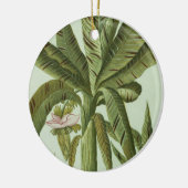 J. Weinmann's Phytanthoza Iconographiからのバナナ、 セラミックオーナメント (左)