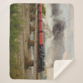 JA1271：大滝川を渡る、ニュージーランド シェルパブランケット (正面)