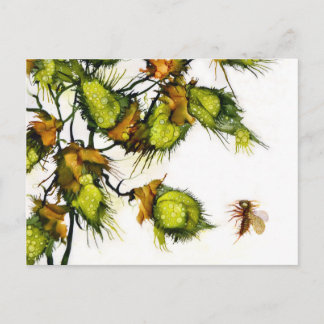 JACによる"偵察者"の郵便はがき ポストカード