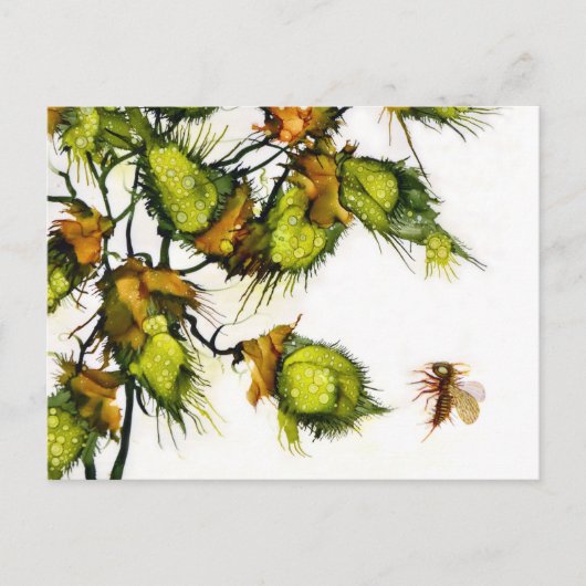 JACによる"偵察者"の郵便はがき ポストカード (正面)