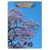 Jacaranda クリップボード (正面)