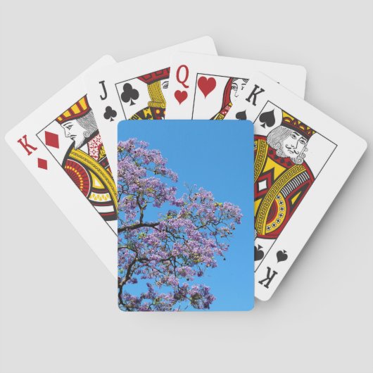 Jacaranda トランプ (裏面)