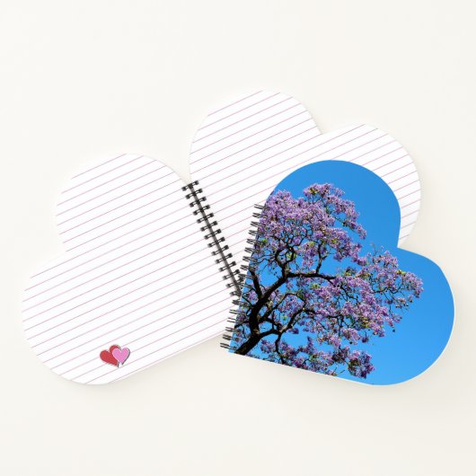 Jacaranda ノートブック (内部)