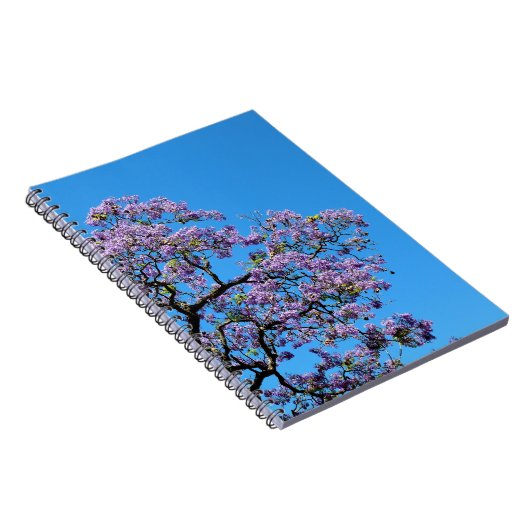 Jacaranda ノートブック (右側)