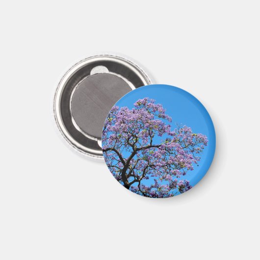 Jacaranda マグネット (正面/裏面)