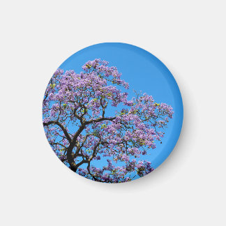 Jacaranda マグネット