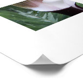 Jack-in-the-Pulpit植物フローラ写真 ポスター (角)