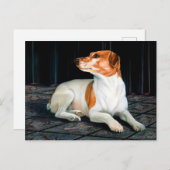 Jack Russel Postcard ポストカード (正面/裏面)