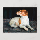 Jack Russel Postcard ポストカード (正面)