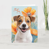 Jack Russell Dog Orange Poppy Flowers Get Well カード (正面)
