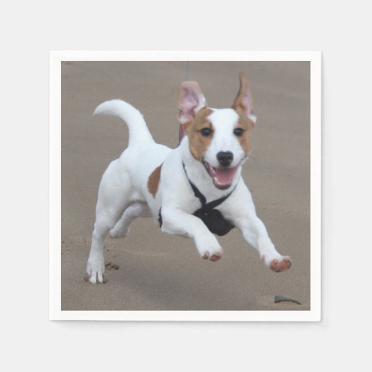 Jack_Russell terrierランニングの2.png スタンダードカクテルナプキン (正面)