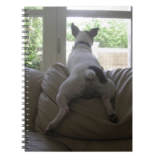 Jack Russell Terrier ノートブック (正面)