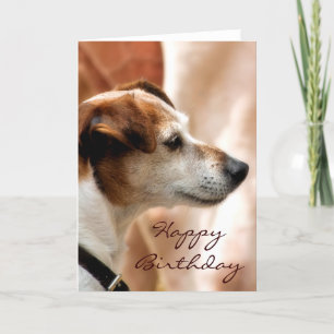 JACK RUSSELL TERRIER DOG カード