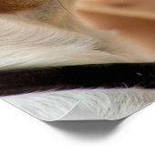 JACK RUSSELL TERRIER DOG ポスター (角)