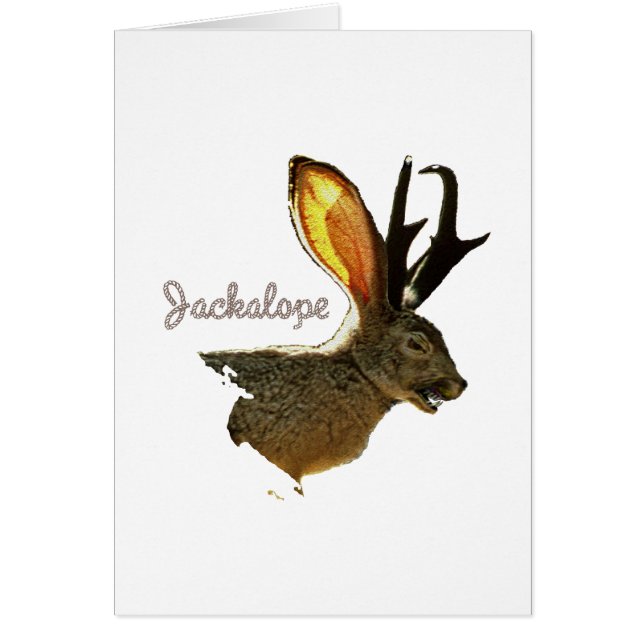 Jackalope (正面)