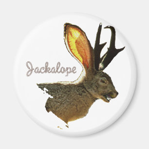 Jackalope マグネット
