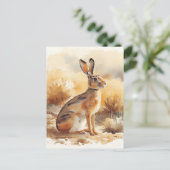 Jackrabbit in Desert Brush Southwestern ポストカード (スタンド正面)