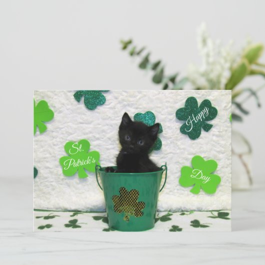 Jack's St. Patrick's Day Cat / Kitten - Flat Card シーズンカード (スタンド正面)