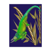 Jackson’s chameleon hanging out in the bamboo