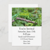 Jacksonsのカメレオン 招待状 (正面/裏面)