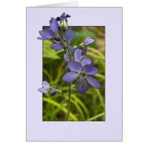 Jacobのラダー – 5" x 7"アートカード