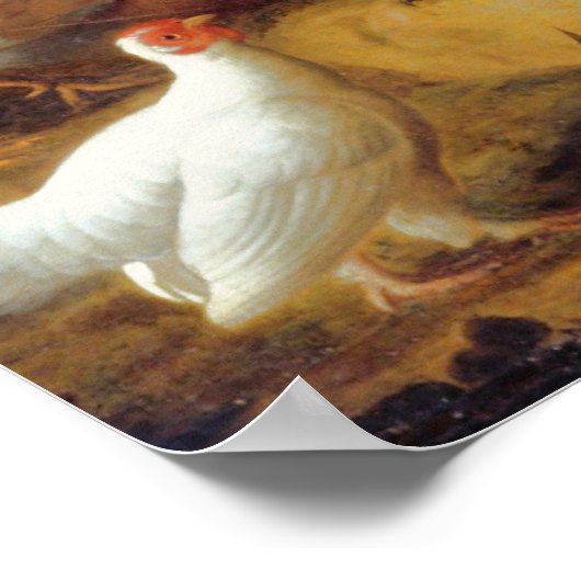 Jacob Bogdani Peacock Peahen Parrots Canary    ポスター (角)