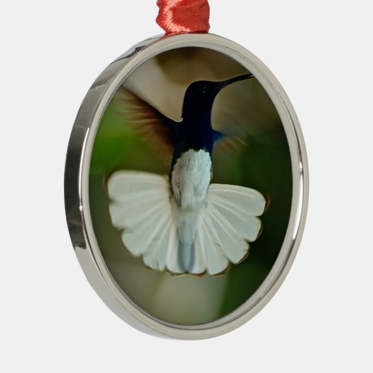 Jacobin in flight メタルオーナメント (右)