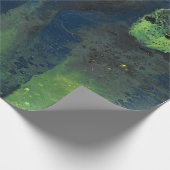 Jaded Lover 1 Deep Green Abstract Wrapping Paper ラッピングペーパー (角)