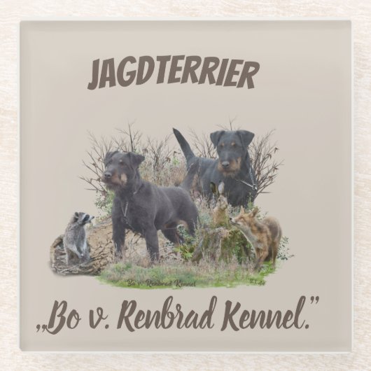Jagdterrier,,Bo v. Renbrad Kennel."ステッカー紙 ガラスコースター (正面)