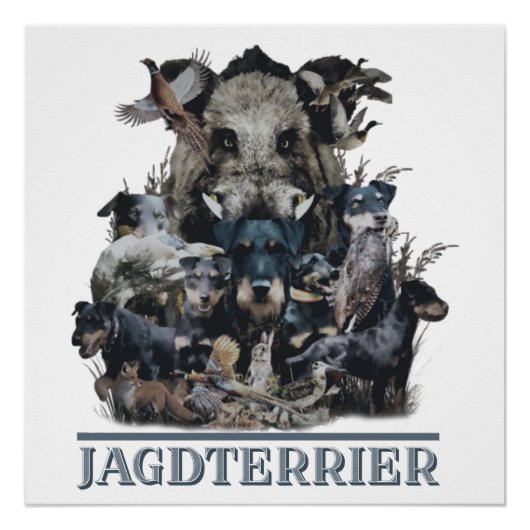 Jagdterrier, German狩り・テリアのポスター ポスター (正面)