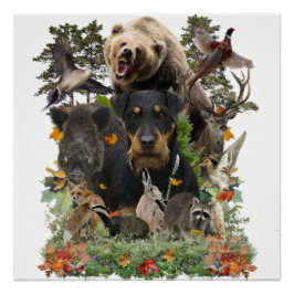 Jagdterrier, German狩り・テリアのポスター ポスター