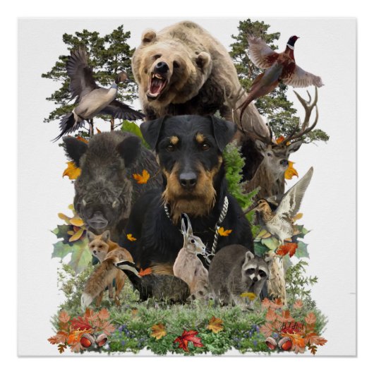 Jagdterrier, German狩り・テリアのポスター ポスター (正面)