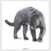 Jaguar Diablo contour sticker シール (シート)