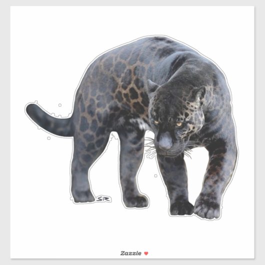 Jaguar Diablo contour sticker シール (シート)