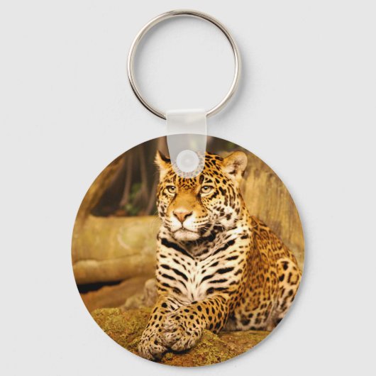 Jaguar Keychain キーホルダー (正面)