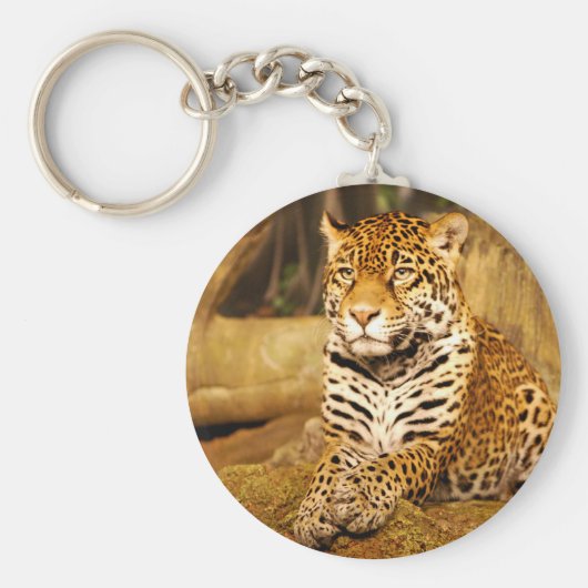 Jaguar Keychain キーホルダー (正面)