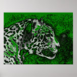 Jaguar Pop Art ポスター<br><div class="desc">Jaguar Portrait Posters - Pop Art Jaguar Image - Big Wild Cats Prints - The Head of the Jaguar - Face of Jaguar</div>