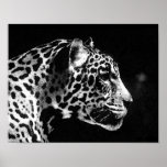 Jaguar Pop Art ポスター<br><div class="desc">Black & White Jaguar Portrait Posters - Pop Art Jaguar Image - Big Wild Cats Prints - The Head of the Jaguar - Face of Jaguar</div>