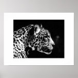 Jaguar Pop Art Poster Print - Jaguar Posters ポスター<br><div class="desc">Black & White Jaguar Portrait Posters - Pop Art Jaguar Image - Big Wild Cats Prints - The Head of the Jaguar - Face of Jaguar</div>