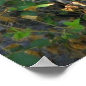 jaguar up close full body shot ポスター (角)