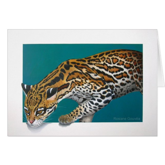 Jaguatirica (正面横)