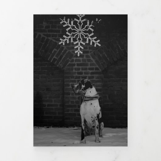 Jahresrückblick Fotos Karte  三つ折りクリスマスカード (カバー)